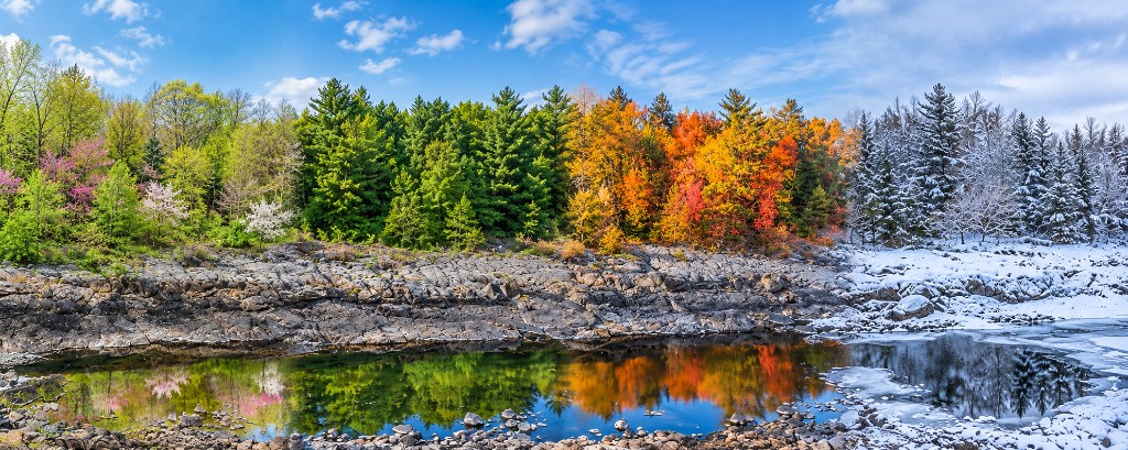 The Black River through the changing seasons, from spring blossoms to winter snow